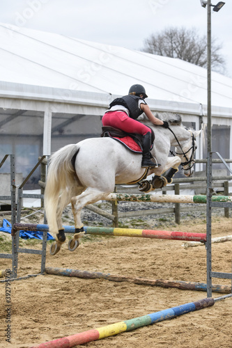 cheval equitation chevaux ecurie saut obstacle cavalier