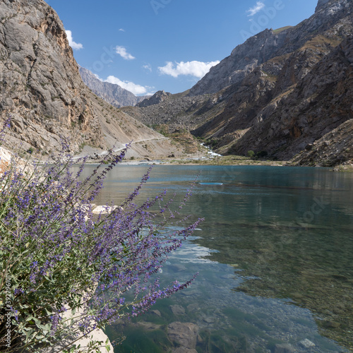 Scenic mountain landscape with russian sage at Khurdak lake in Marguzor seven lakes area, Shing river valley, near Penjikent, Tajikistan photo