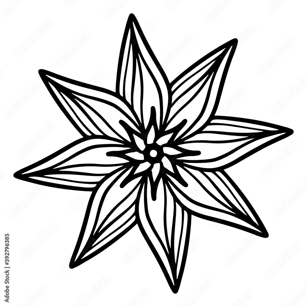 Mandala, Indian vintage ornament, pendant, logo, tattoo, vector illustration, drawing, decorative element, graphics, black and white stamp, relaxation