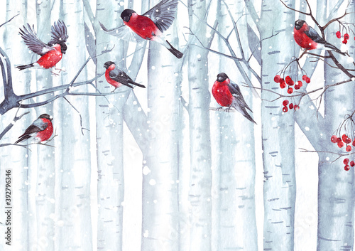 Foto Watercolor winter birds