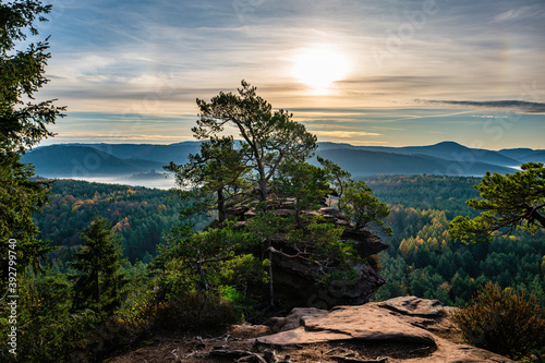 sunrise in palatinate