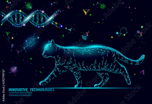 Cat silhouette veterinary pharmacy banner template. Theatment drug virus infection. Vet care medical help. Vet hospital doctor online logo vector illustration