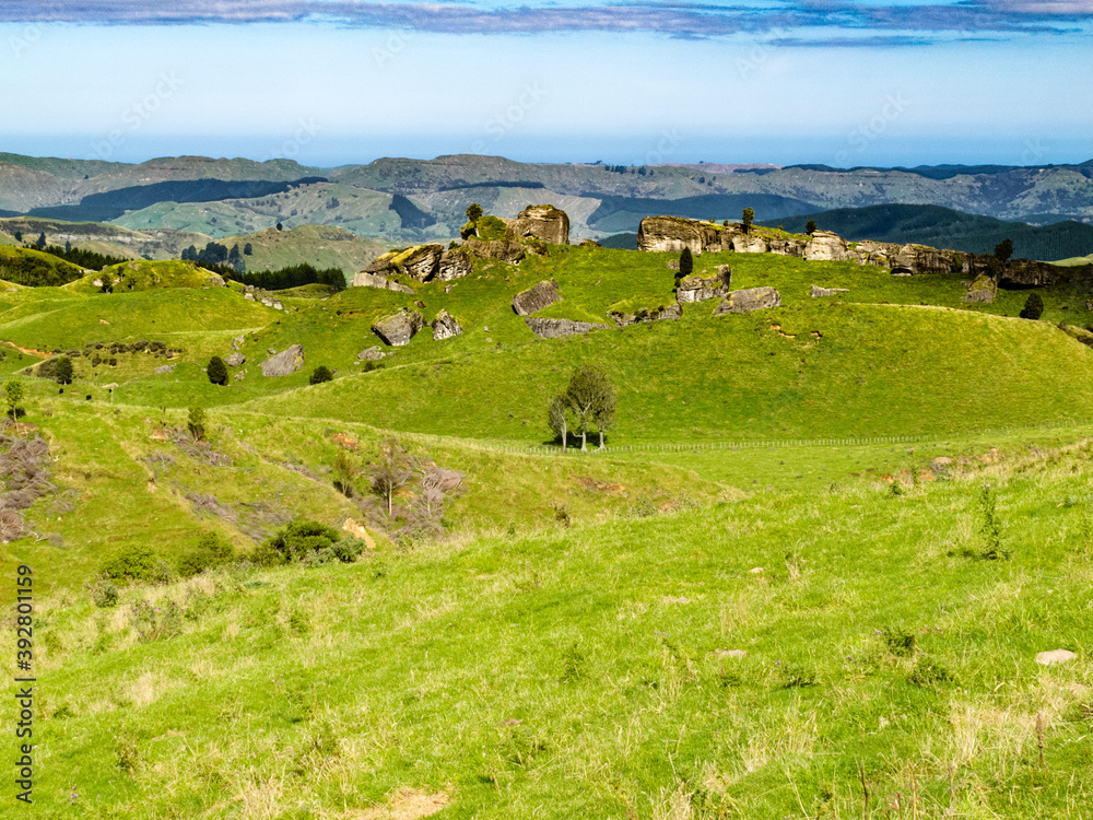 Fototapeta premium Farmland landscape scene Hawkes Bay New Zealand