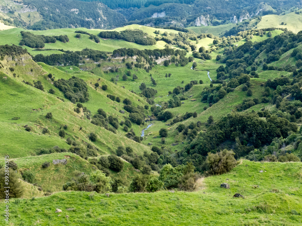 Farmland landscape scene Hawkes Bay New Zealand