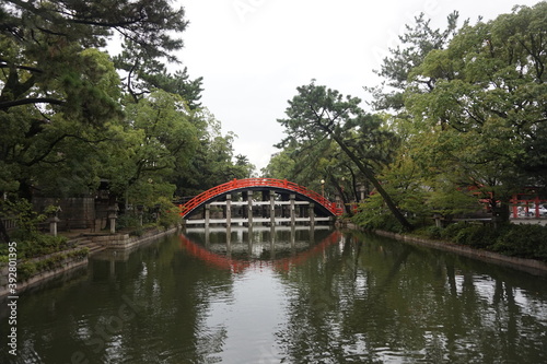 Puente japonés sobre el lago