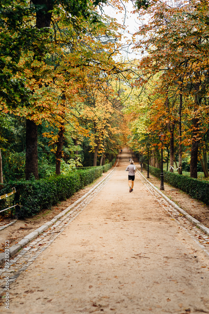 Unidentified man running in Buen Retiro Park in Madrid during the fall with vibrant colors and the paths covered with fallen leaves