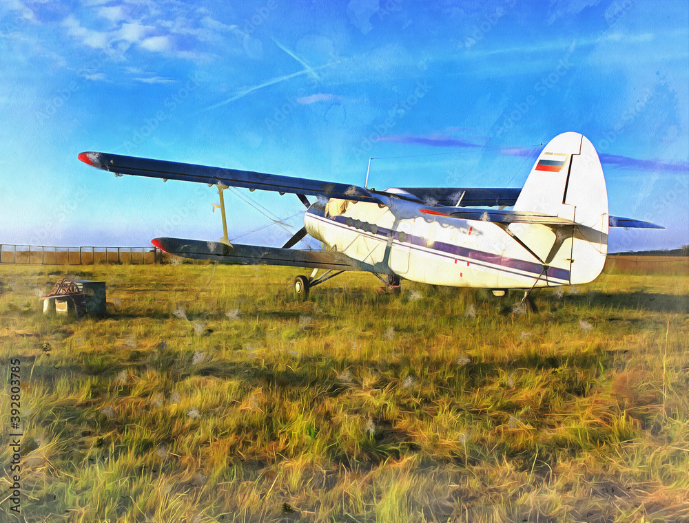 Light aircraft planes parked at a grass airfield Light aircraft planes parked at a grass airfield