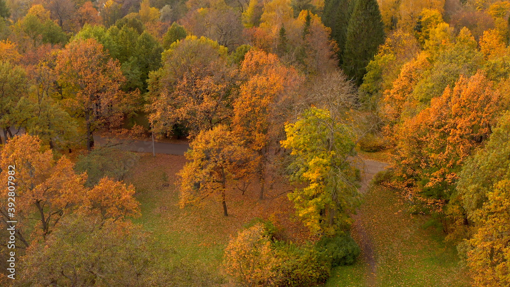 Golden autumn in St. Petersburg. Aerial view of the park of the 300th anniversary of St. Petersburg. Golden autumn in St. Petersburg. Aerial view of the park of the 300th anniversary of St. Petersburg.