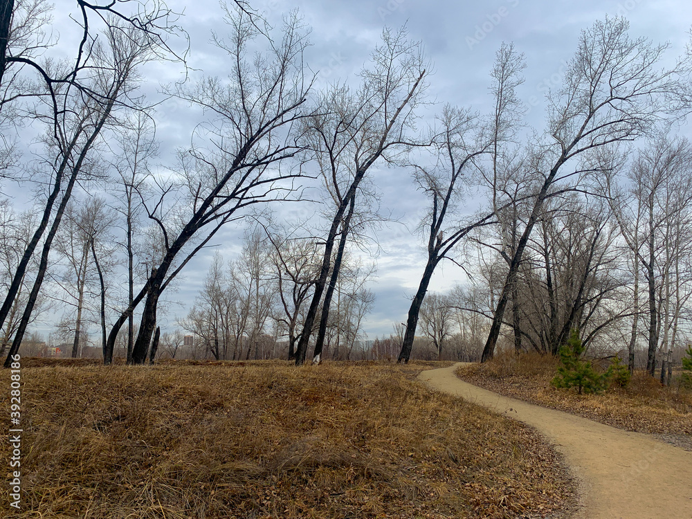 Pathway in the empty park, leafless trees, melancholic atmosphere Pathway in the empty park, leafless trees, melancholic atmosphere