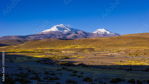 Altiplano landscape with the volcanoes Guallatiri and Wallatiri in the high Andes in northern Chile