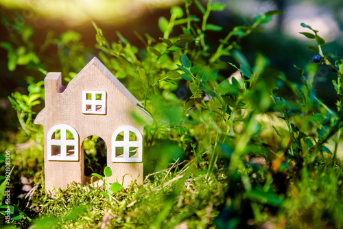 the symbol of the house stands on green moss 