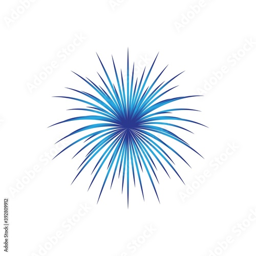 fireworks logo vector