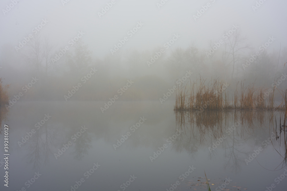 Morning fog on the forest sea in autumn