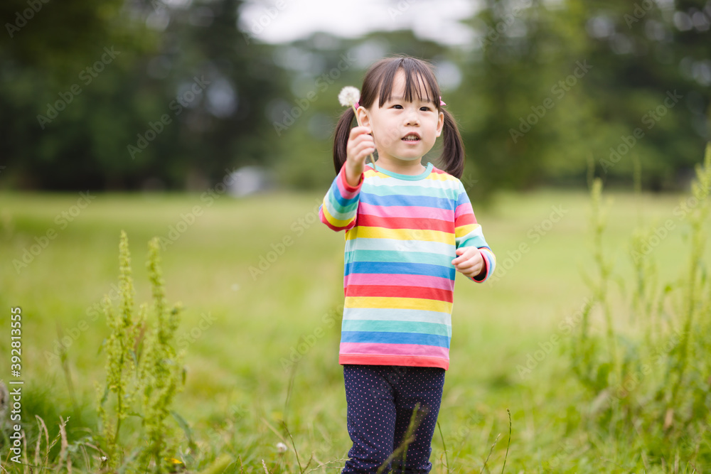 young girl blowing dandelion in the summer garden morning young girl blowing dandelion in the summer garden morning