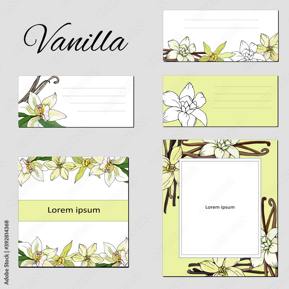 Floral set of text frames with vanilla flowers. Business cards, banners, tags and posters with a floral pattern for invitations and congratulations.