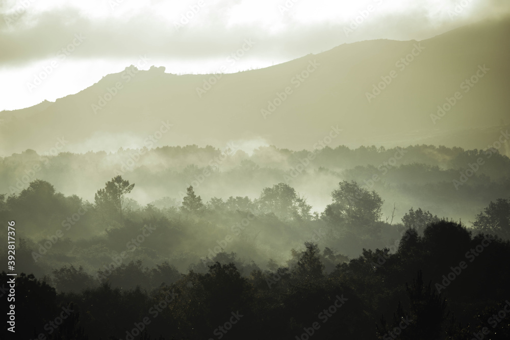 fog in the mountains fog in the mountains
