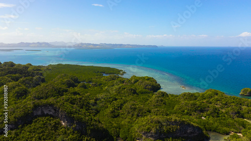 Tropical seascape: Island with tropical forest and blue sea. Bohol,Philippines.