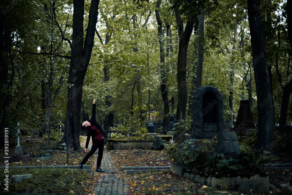 Fototapeta premium walk in the woods