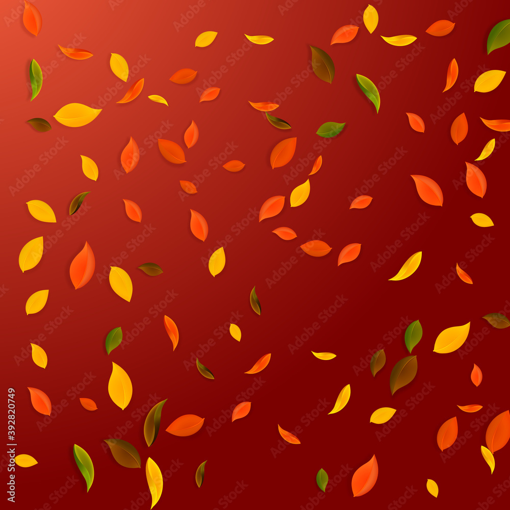 Falling autumn leaves. Red, yellow, green, brown c Falling autumn leaves. Red, yellow, green, brown c