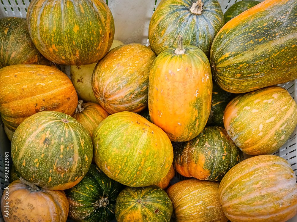Box with pumpkins on a farm