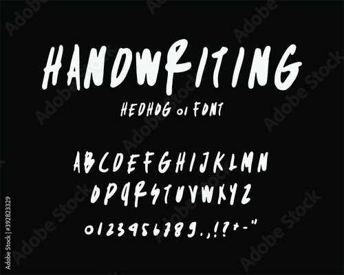Handwritten calligraphy alphabet. Creative vector typography can be used for designs, posters, invitations, prints, etc. Natural lettering in hand drawings.