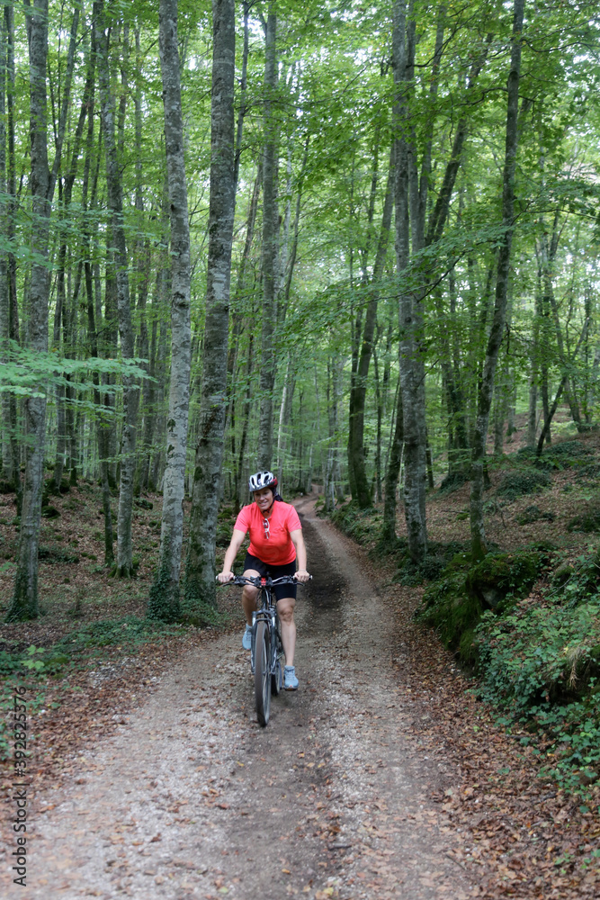 biking in the forest biking in the forest