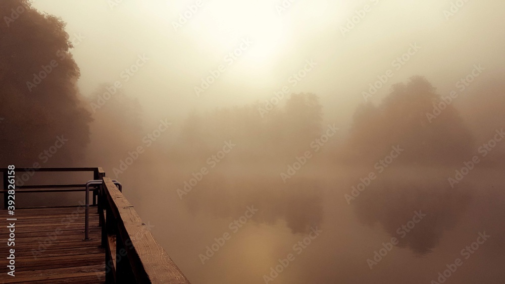 Naklejka premium Blick in den Nebel
