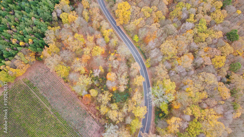 Autumn journey, colorful trees, road © Bocskai István