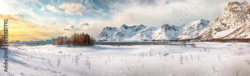 Panoramic winter scenery with frozen fjord on Vestvagoy island at sunset with snowy  mountain peaks near Valberg