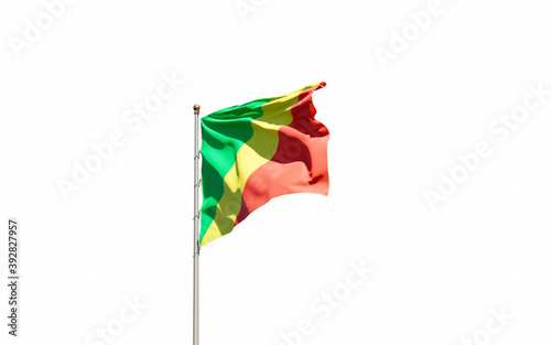 Congo national flag on white background isolated.