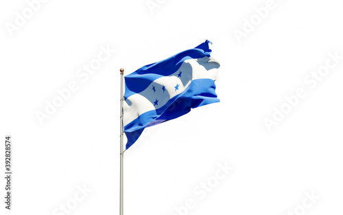 Honduras national flag on white background isolated.