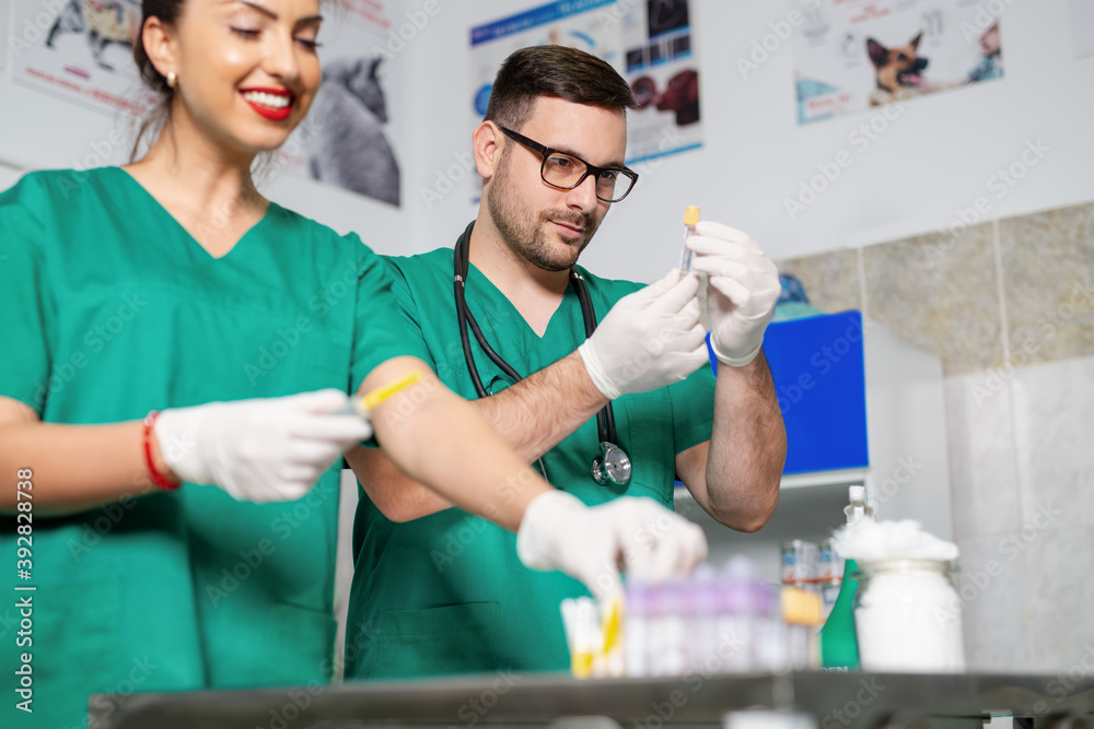 Obraz premium Veterinarian preparing injection for dogs.