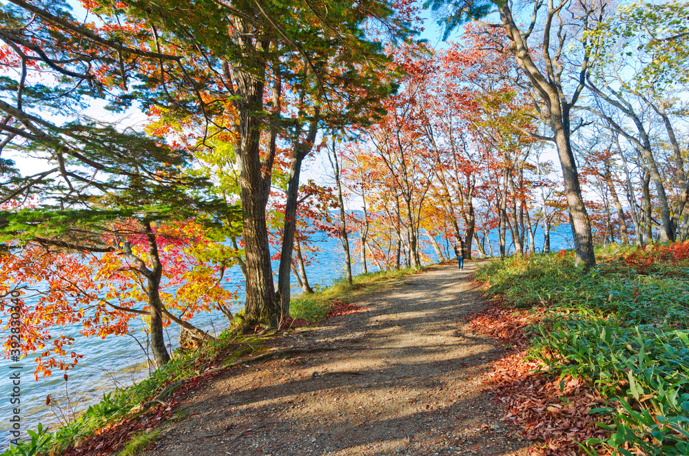 Obraz premium The nature trails at Lake Akan, Hokkaido, Japan