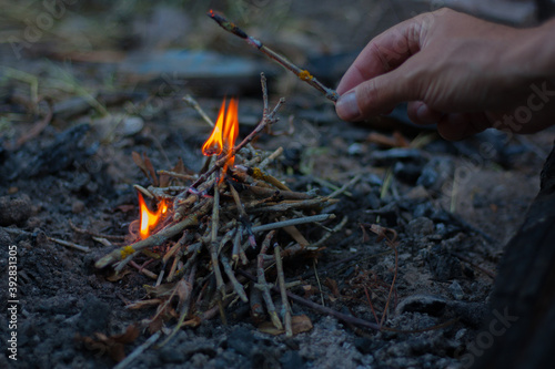 fire in the forest © Irina Liubimova
