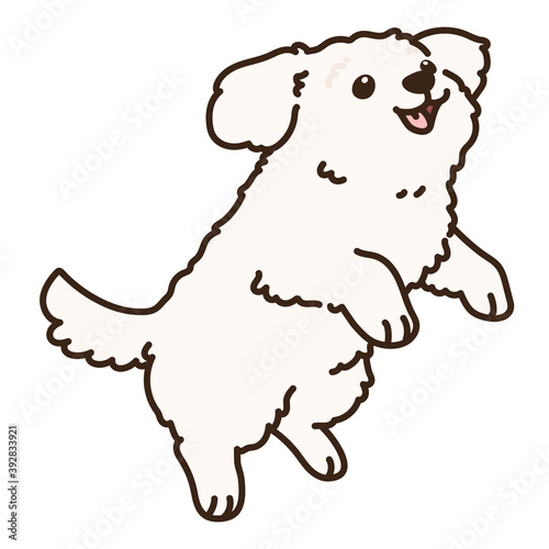 Outlined simple and adorable white Maltese dog jumping illustration