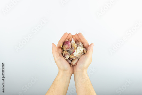 Woman's hands holding garlic cloves on a white background 
