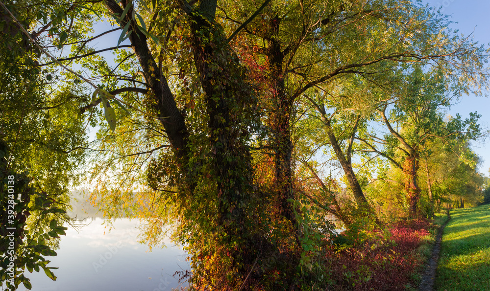 Path along the bank of pond with trees in autumn