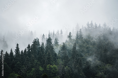 Fototapeta Naklejka Na Ścianę i Meble -  Misty mountain landscape