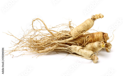 ginseng isolated on wood background © zcy