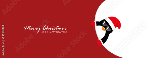 cute penguin with sunglasses looks around the corner funny christmas design vector illustration EPS10