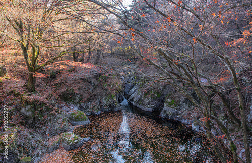 The beautiful autumn coloe of mountain stream. photo