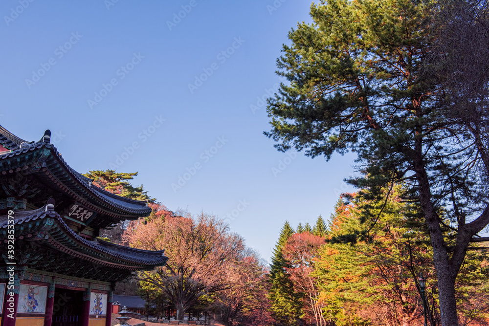 The beautiful folige of autumn color mountain under the eaves of the temple.	