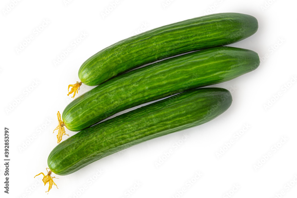 Three large ripe cucumbers on a white background, top view. Close up. Three large ripe cucumbers on a white background, top view. Close up.