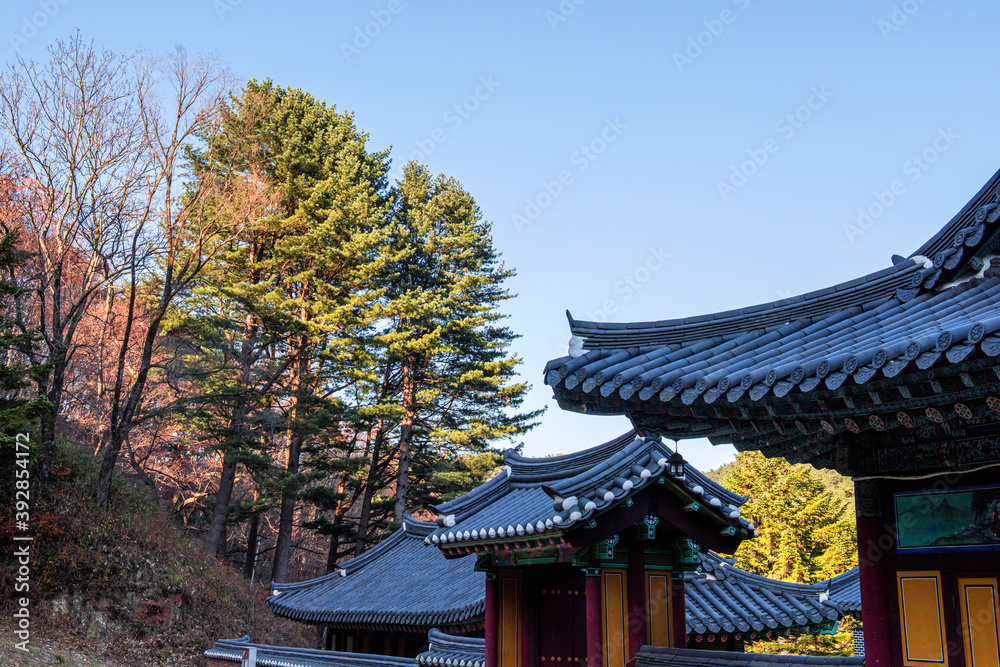 The beautiful folige of autumn color mountain under the eaves of the temple. The beautiful folige of autumn color mountain under the eaves of the temple.