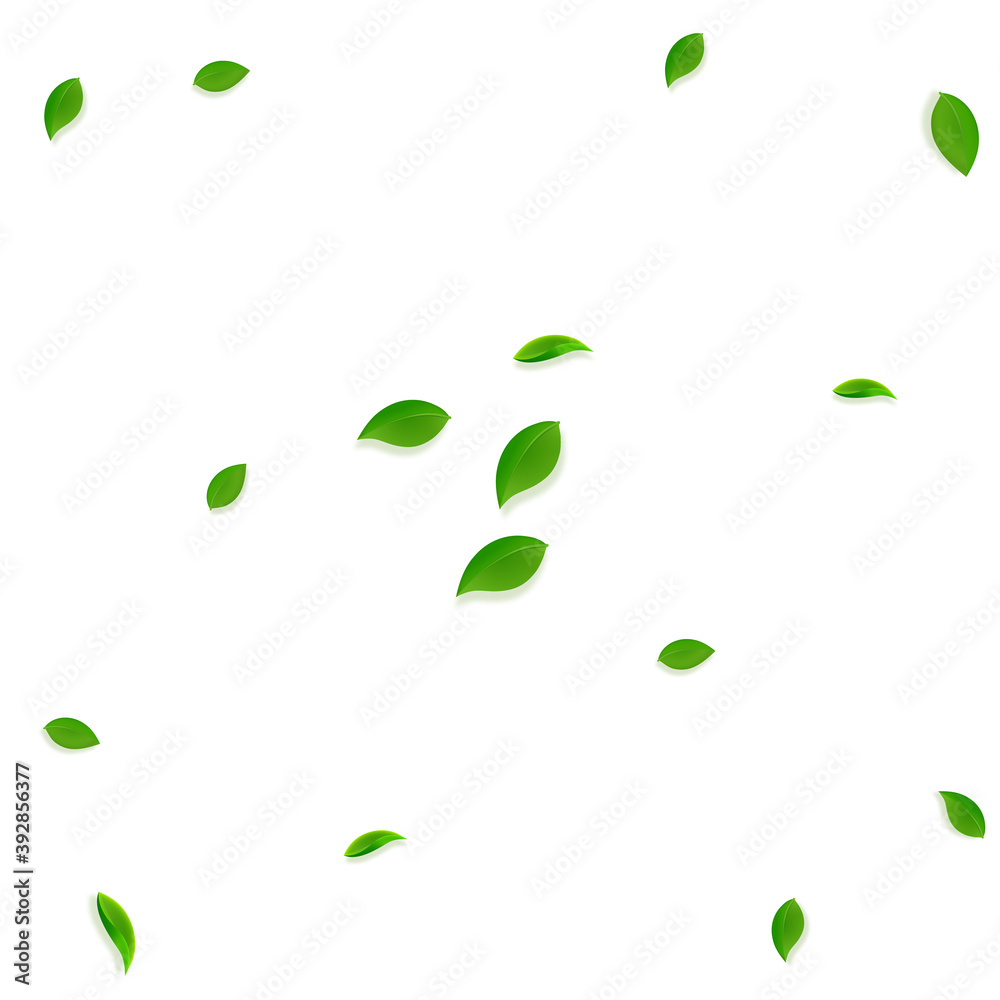 Falling green leaves. Fresh tea random leaves flyi