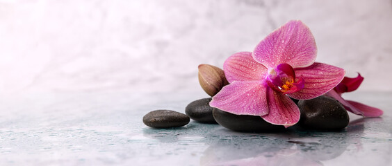Plexiglas schilderij Spa Natte orchidee op marmeren oppervlak  © ronstik