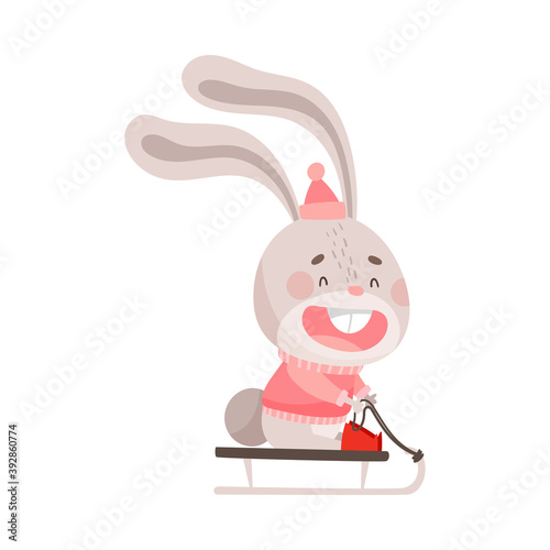 Smiling Hare as Christmas Character with Long Ears in Warm Pullover Sledging Vector Illustration