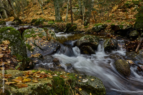 Fototapeta Naklejka Na Ścianę i Meble -  Small waterfalls in the bed of the Sestil de Maíllo stream. Autumn in the Sierra de Guadarrama National Park. Madrid's community. Spain