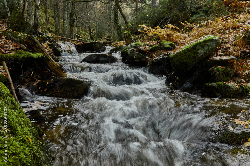 Small waterfalls in the bed of the Sestil de Maíllo stream. Autumn in the Sierra de Guadarrama National Park. Madrid's community. Spain Small waterfalls in the bed of the Sestil de Maíllo stream. Autumn in the Sierra de Guadarrama National Park. Madrid's community. Spain
