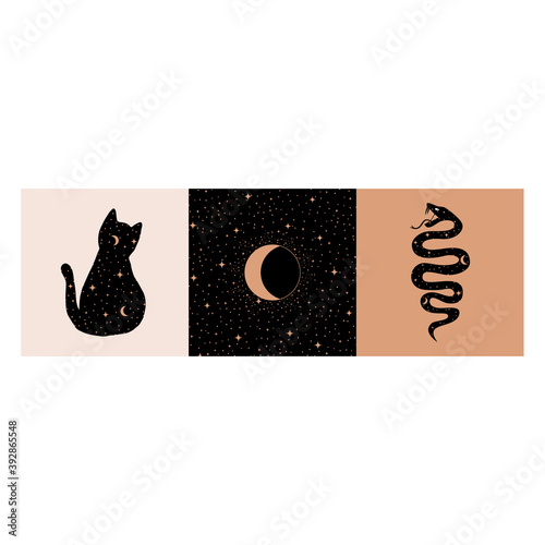 Ethnic Magic and Mystical Logo Set with cat, snake and moon and starssymbols in Vector